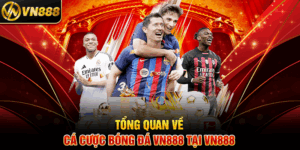 Tổng Quan Về Cá Cược Bóng Đá VN888 Tại VN888