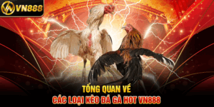 Tổng Quan Về Cách Chọn Gà Chọi Chuẩn VN888