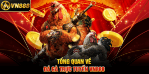 Tổng Quan Về Đá Gà Trực Tuyến VN888