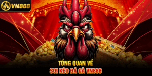 Tổng Quan Về Soi Kèo Đá Gà VN888